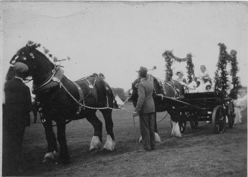 DressedHorseCartGd1934